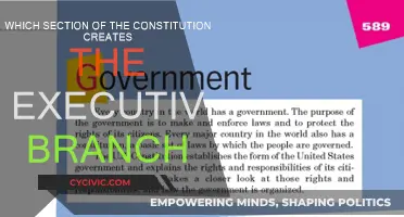 The Executive Branch: A Constitutional Creation