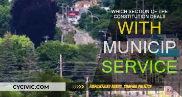 The Constitution's Section on Municipal Services