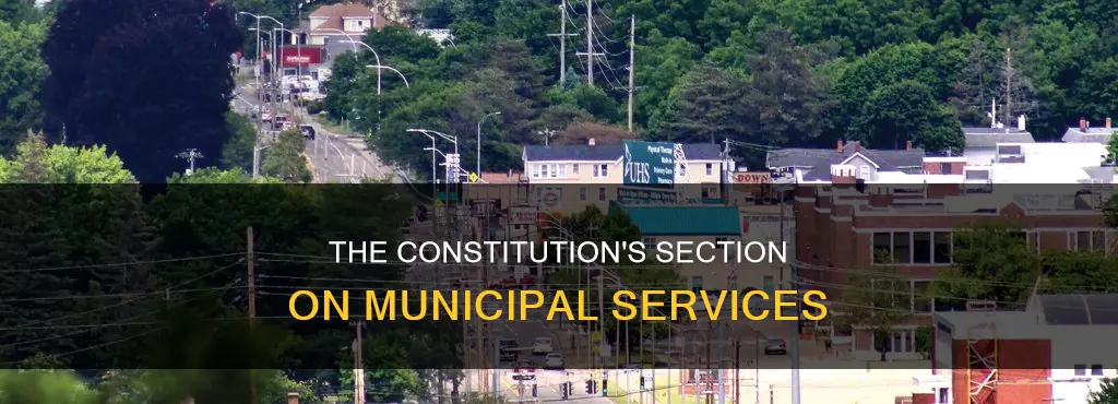 which section of the constitution deals with municipal services