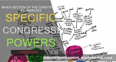 Congressional Powers: Exploring the Constitution's Enumerated Powers