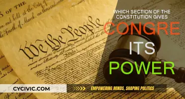 Congress Powers: Exploring Constitutional Roots