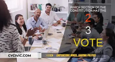 Understanding the Constitution: 2/3-Vote Section Explained