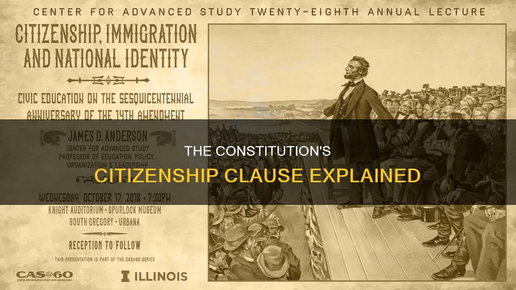 which section of the constitution is citizenship defined