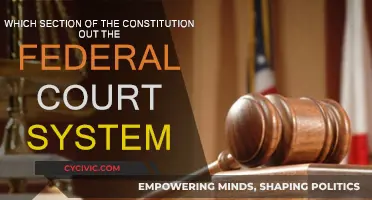 The Constitution's Federal Court System Section