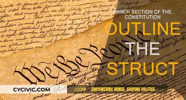 The Constitution's Structural Framework
