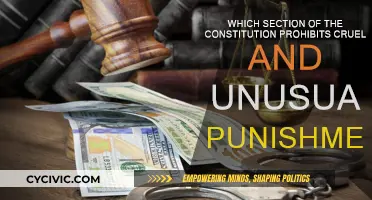 The Eighth Amendment: Prohibiting Cruel and Unusual Punishment