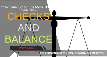Checks and Balances: Exploring the Constitution's Core