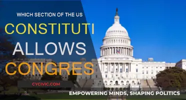 The US Constitution: Congress' Powers Explored