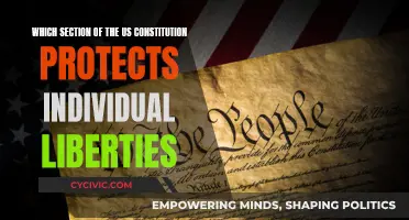 The US Constitution: Safeguarding Individual Liberties and Freedoms
