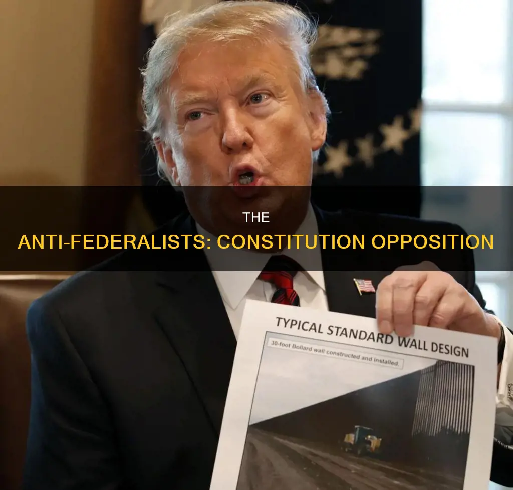 which side did not want to radify the constitution