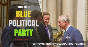 Understanding the Blue Political Party: Which Side Do They Represent?