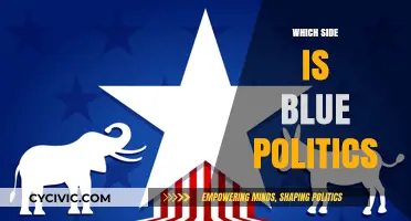 Blue Politics Explained: Understanding the Side and Its Core Beliefs