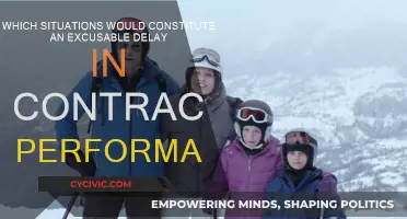 When Delays are Acceptable: Understanding Contract Performance Excuses