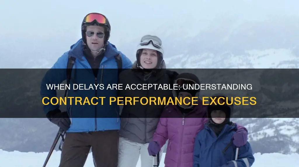 which situations would constitute an excusable delay in contract performance