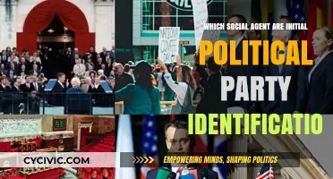 How Social Agents Shape Initial Political Party Identification