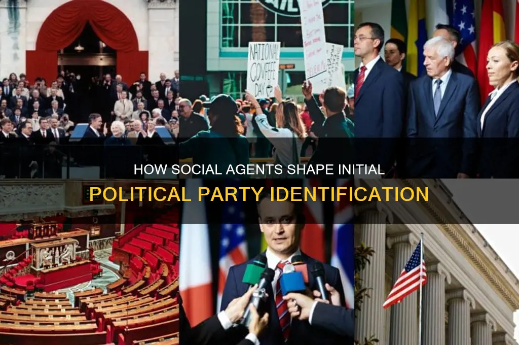 which social agent are initial political party identification
