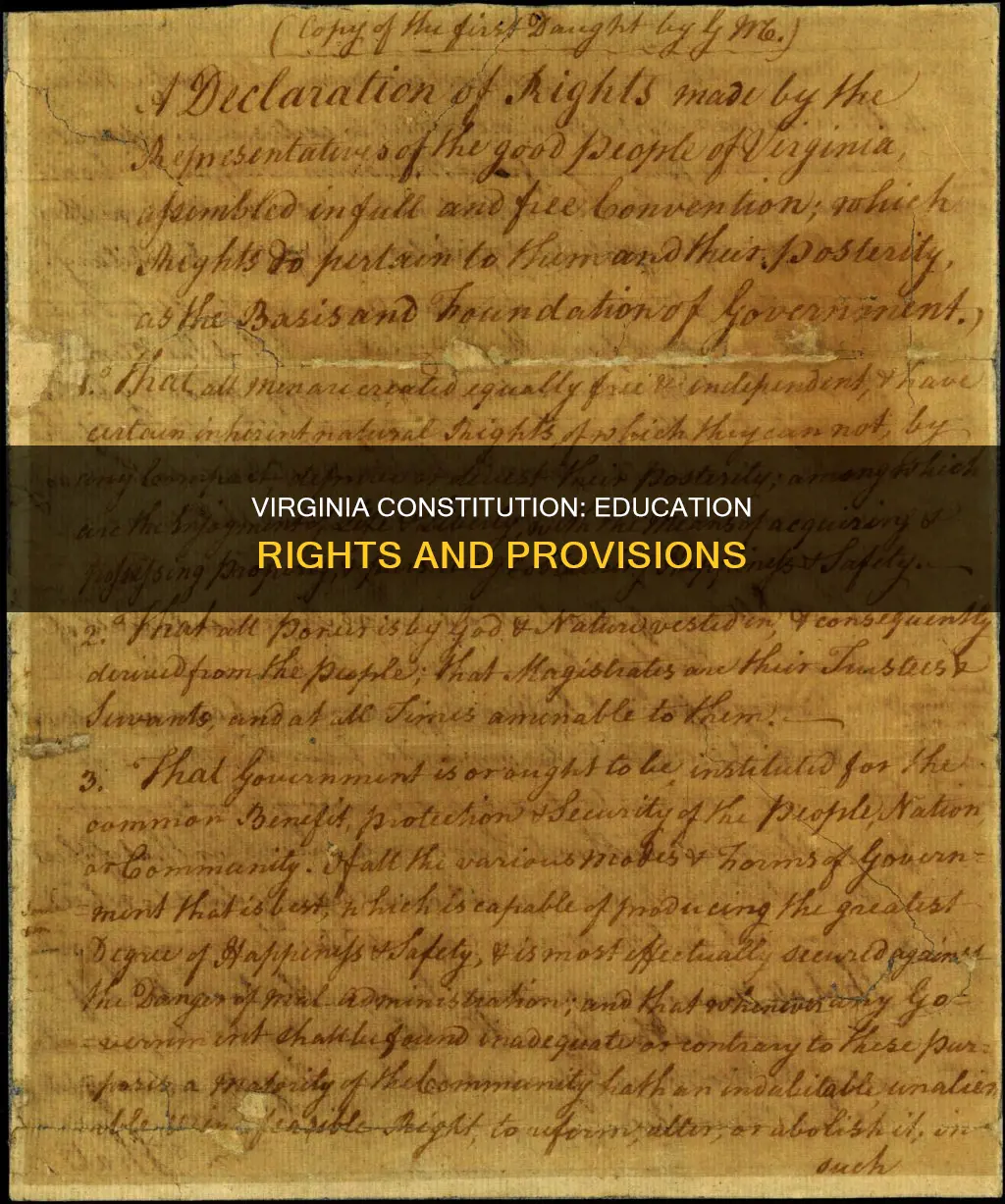 which srtivle of the va constitution deals with education