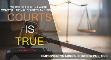 Constitutional Courts: Special Courts' True Nature