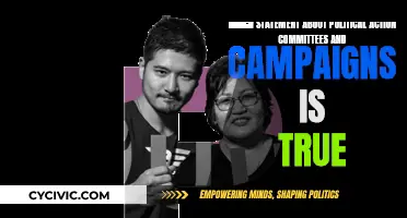 Political Action Committees: Campaigns and True Statements