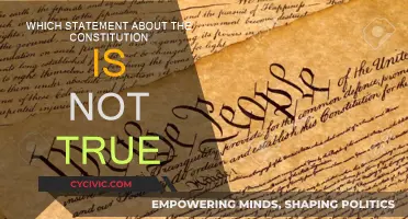 Untrue Claims About the Constitution