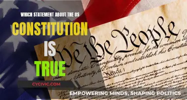 The US Constitution: A True Statement Exploration