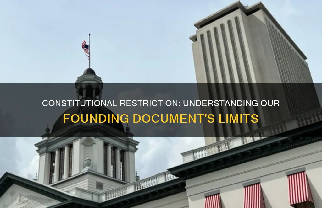 which statement accurately describes one constitutional restriction on