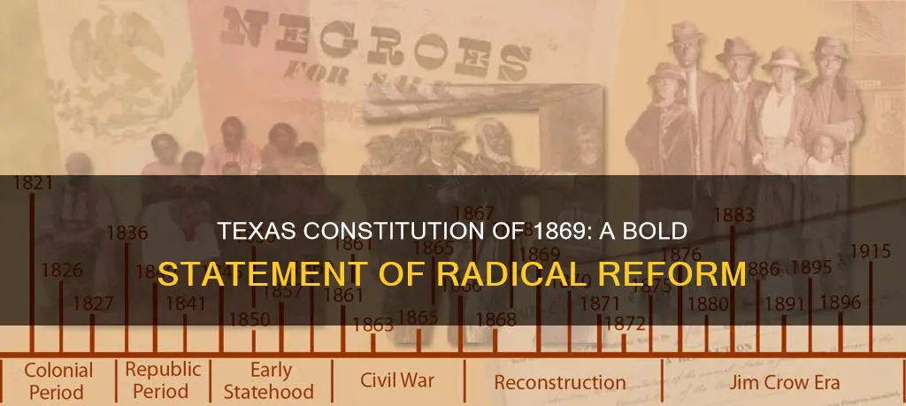 which statement best characterizes the 1869 texas constitution