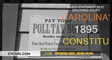 South Carolina's 1895 Constitution: A Document of Discrimination