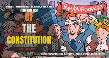 Anti-Federalists' View: A Constitution of Centralized Power