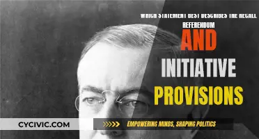 Understanding Recall Referendums and Initiative Provisions