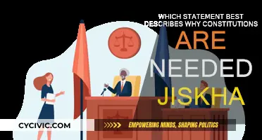 Why Constitutions are Necessary