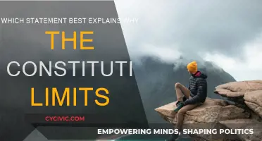 Why the Constitution Limits Power
