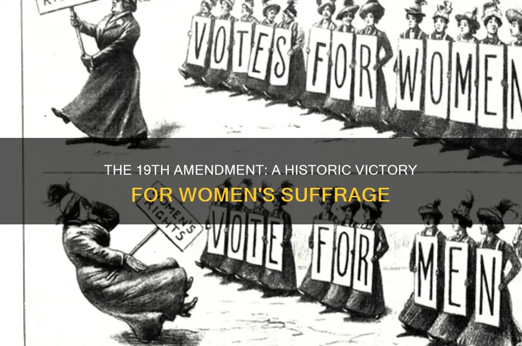which statement best represents a result of the 19th amendment