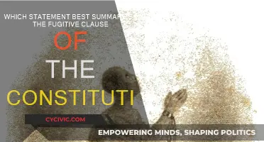 Understanding the Fugitive Clause of the Constitution