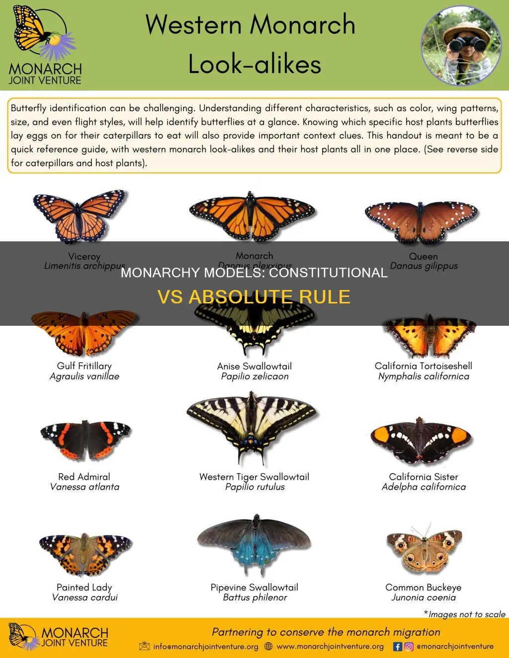 which statement comparing constitutional and absolute monarchies is correct