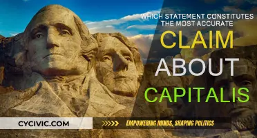 Capitalism's Core: Exploring the Most Accurate Claims