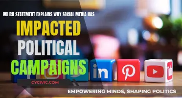 Social Media's Political Campaign Influence Explained
