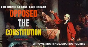 Why Anti-Federalists Opposed the Constitution