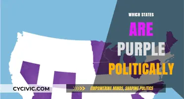 Purple America: Unveiling the Politically Divided States in the US