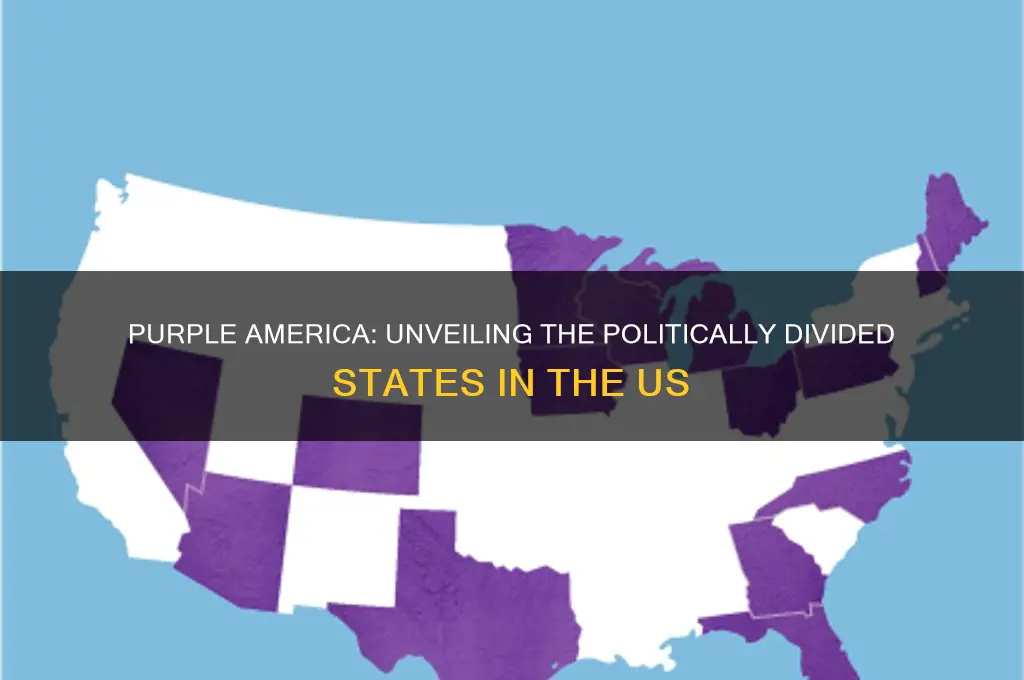 which states are purple politically