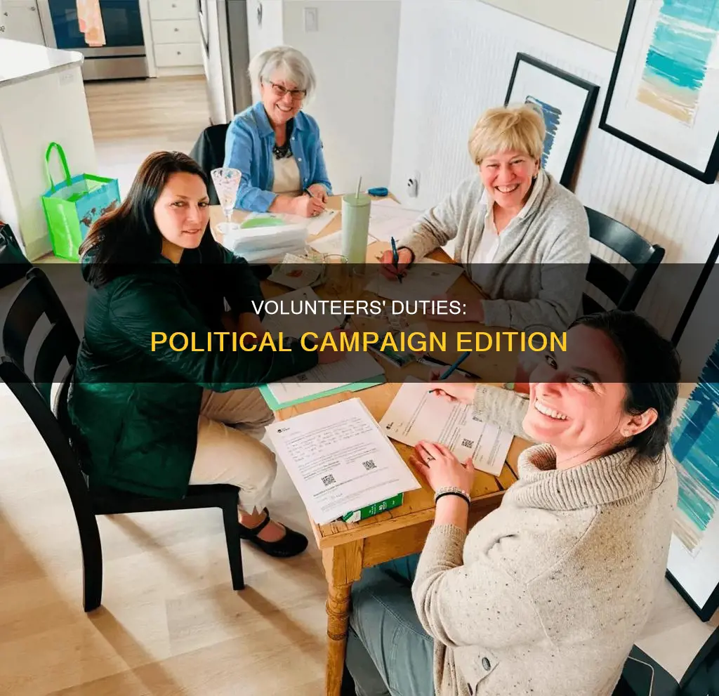 which task do volunteers for a political campaign usually do