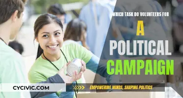 Volunteer Roles: Political Campaign Tasks and Responsibilities