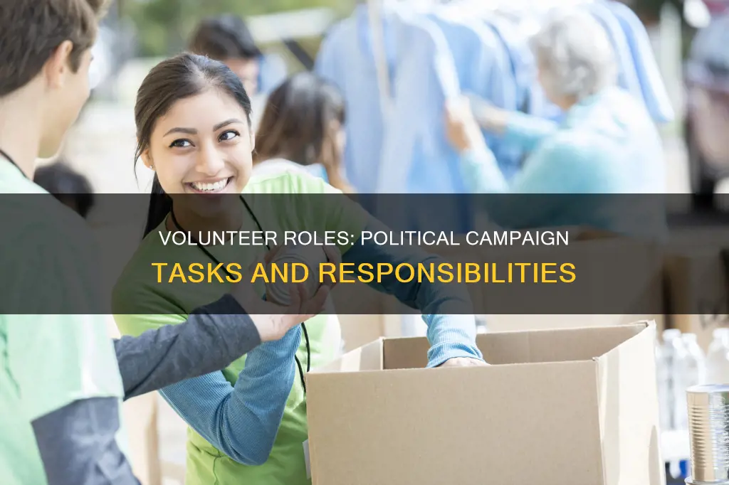 which task do volunteers for a political campaign