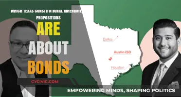 Texas Bond Ballot Propositions: Constitutional Amendments Explained