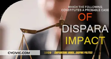 Understanding Disparate Impact: A Probable Case Study