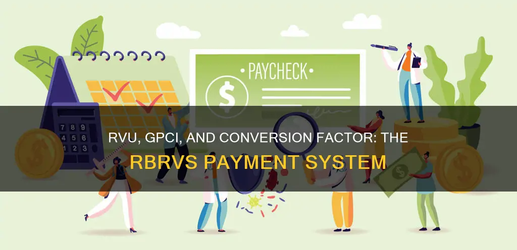 which three components constitute the rbrvs payment system