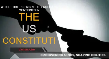 Constitution's Criminal Offenses: Treason, Bribery, Counterfeiting