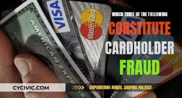 Cardholder Fraud: Three Common Types of Deceptive Practices