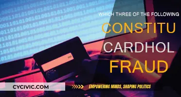 Cardholder Fraud: Three Key Constituting Factors