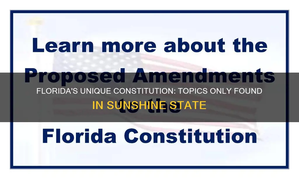 which topic in only addressed in the florida constitution